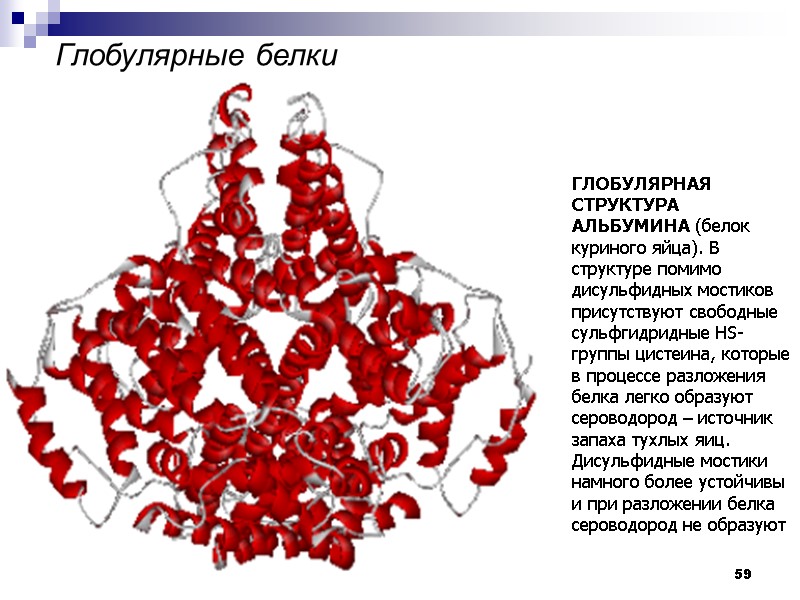 59   Глобулярные белки ГЛОБУЛЯРНАЯ СТРУКТУРА АЛЬБУМИНА (белок куриного яйца). В структуре помимо